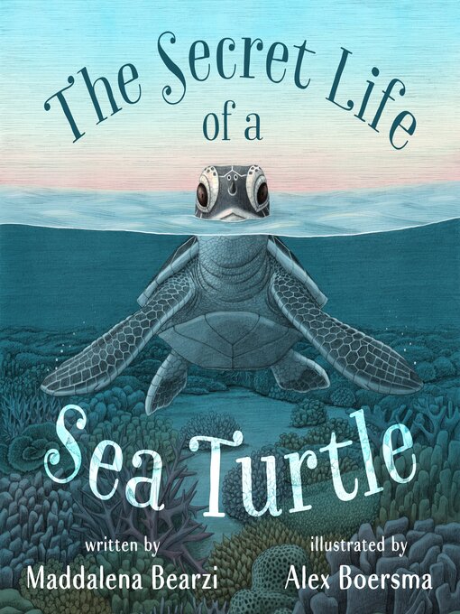 Cover image for The Secret Life of a Sea Turtle